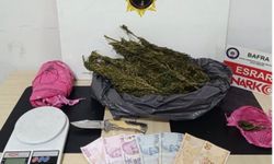 Dört ilçede yasaklı madde operasyonu: 5 gözaltı