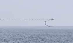 Göç yolundaki kuşların senkronize uçuşu Hopa'da görüntülendi