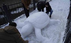 Gümüşhane'de 'kardan kaplumbağa' ilgi odağı oldu