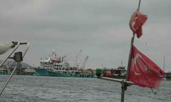 Türkiye'yi terk eden hamsinin yolu gözleniyor