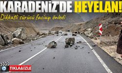 Artvin-Şavşat Karayolu’nda heyelan: Dikkatli sürücü faciayı önledi
