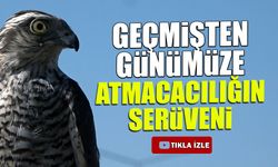Geçmişten Günümüze Atmacacılığın Serüveni