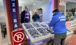 Giresun’da balık tezgâhlarına sıkı denetim: Eynesil ve Görele mercek altında