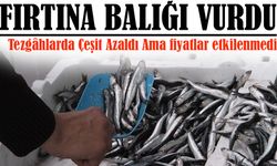 Karadeniz’de Fırtına Balık Avını Vurdu: Tezgâhlarda Çeşit Azaldı