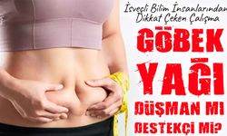 İsveçli Bilim İnsanlarından Dikkat Çeken Çalışma: Karın Yağları Bağışıklığa Katkı Sunabilir