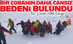 Artvin’de Çığda Can Kaybı İki Oldu: Bir Çoban Hâlâ Kayıp