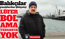 Karadeniz’de lüfer bol ama ağlara girmiyor: Sadece %5’i avlanabiliyor