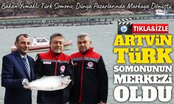 Artvin Türk Somonunun Merkezi Oldu: 3 Bin Tonluk Üretimle 765 Milyon TL’lik Katkı