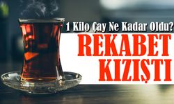 Güncel Çay Fiyatları 1 Kilo Çay Ne Kadar Oldu?