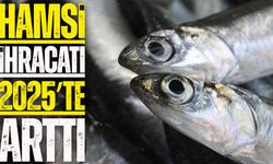 Türkiye’nin hamsi ihracatı 2025’te yüzde 7 arttı: 16 milyon doları aştı