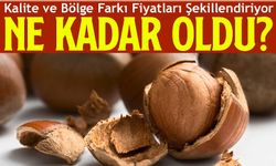 Trabzon’da Serbest Piyasada Fındık Kaç TL? İşte İl İl Güncel Fındık Fiyatları