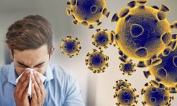 Grip salgının etkeni olan influenza Bu Sezon Daha Ağır Seyrediyor. Uzman uyardı