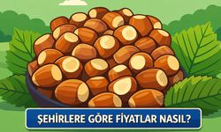 Serbest Piyasada Fındık Fiyatları Duruldu mu? İşte İl İl Güncel Rakamlar