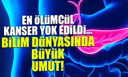 En Ölümcül Kanser Yok Edildi! Bilim Dünyasında Büyük Umut...