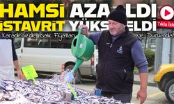 Hamsi Azaldı, İstavrit Yükseldi: Rize’de Balık Fiyatları Ne Durumda?