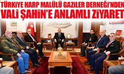 Türkiye Harp Malülü Gaziler Derneği’nden Vali Tahir Şahin’e anlamlı ziyaret