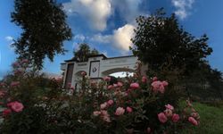 Trabzon Üniversitesi’nden TÜBİTAK 1001 Başarısı