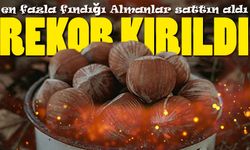 Fındıkta Rekor Yıl: 2025’te 2,25 Milyar Doları Aşan İhracat