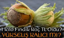 Bugün Fındık Fiyatları Ne Kadar, 1 Kilo Fındık Kaç TL Oldu?