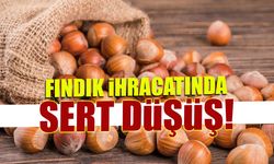 Fındık İhracatında Sert Düşüş: KFMİB Başkanı SABIR’dan 2026 İçin Kritik Uyarı
