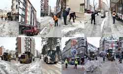 Gümüşhane’de Kar Sonrası Temizlik Seferberliği Başladı