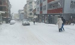 Giresun'da kara saplanan otomobilin üzerine çığ düştü