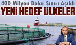 Karadeniz’den Rekor Balık İhracatı: 400 Milyon Dolar Sınırı Aşıldı