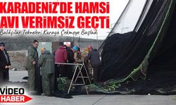 Karadeniz’de Hamsi Avı Verimsiz Geçti ;Balıkçılar Tekneleri Karaya Çekmeye Başladı