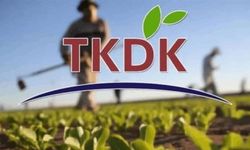 Trabzon'da üreticilere 2025'te TKDK'den 4 milyon avronun üzerinde hibe desteği sağlandı