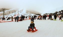 Samsun'da düzenlenen festivalde 1 ton hamsi ikram edildi