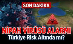 Nipah Virüsü Türkiye İçin Tehdit Oluşturuyor mu? Uzmandan Kritik Açıklamalar