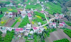 Bu Sese Kulak Verin: Akçaabat’ta İki Mahalle Yıllardır Kadastro Bekliyor