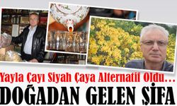Kış Aylarının Doğal Şifası: Yayla Çayı