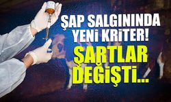 Şap Hastalığında Yeni Kriterler: Arilik Şartı Resmileşti!