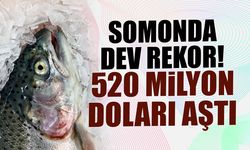 Türk Somonu İhracatı 2025’te 520 Milyon Doları Aştı