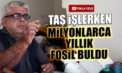 Taş İşlerken Milyonlarca Yıllık Böcek Fosili Buldu
