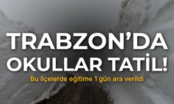 Trabzon’un Bazı İlçelerinde Kar Nedeniyle Eğitime Ara Verildi