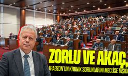 Zorlu ve Akaç, Trabzon’un sorunlarını meclis gündemine taşıdı