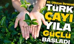 Türk Çayı İhracat Geliri Ocakta Yüzde 66 Artarak 2,1 Milyon Dolara Ulaştı