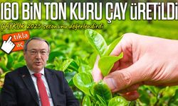 Yusuf Ziya Alim: “2025’te 160 bin ton kuru çay üretildi, 2026’ya 105 bin ton stokla girdik”