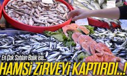 Hamsi Yıllar Sonra Zirveyi Kaybetti, O Balık Satışta Liderliğe Yükseldi