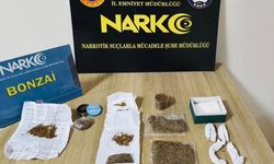 Fatsa’da Dev Narkotik Operasyonu: Çok Sayıda Tutuklama