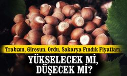 Trabzon, Giresun, Ordu, Sakarya Fındık Fiyatları: Yükselecek Mi, Düşecek Mi?