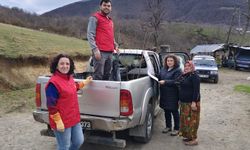 19 Mayıs ilçesinde kestane üretimini artırmak için çalışma yürütülüyor