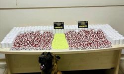 Artvin'de yasaklı madde operasyonunda 1 şüpheli gözaltına alındı