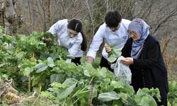 Geleceğin şefleri yöresel lezzetlerin tarladan sofraya inceliklerini öğreniyor