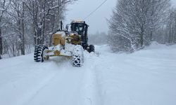Salıpazarı ilçesinde kar yağışı etkili oluyor