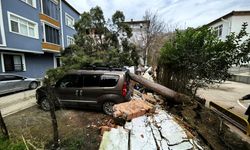 Şiddetli rüzgar nedeniyle devrilen ağaçlar 3 araca zarar verdi