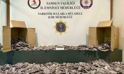 80 bin yasaklı madde hap ele geçirildi