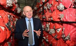 Başkan Kul: 'Üreten kadınların yanında olmaya devam edeceğiz'